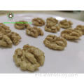 bahan kegemaran walnut biji